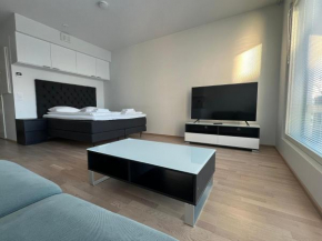 Simple studio for two in Turku Center, Turku